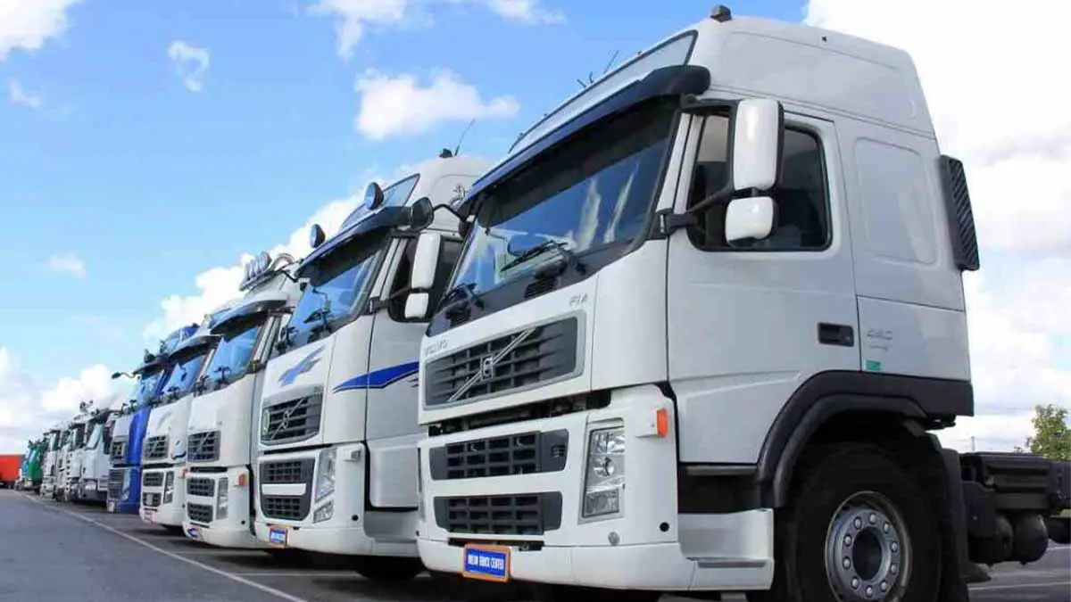 کشنده ها در گمرک